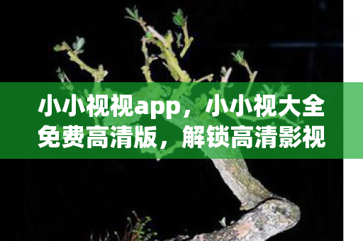 小小视视app，小小视大全免费高清版，解锁高清影视娱乐新体验