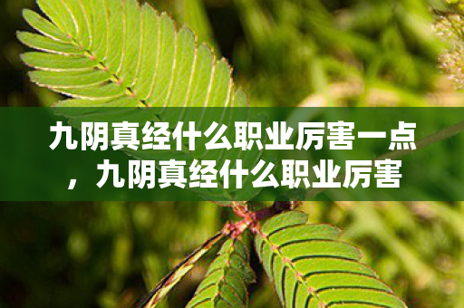 九阴真经什么职业厉害一点,九阴真经什么职业厉害 九阴真经什么职业厉害一点,九阴真经什么职业厉害