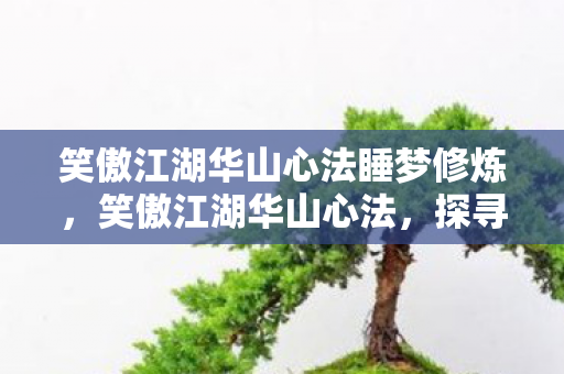 笑傲江湖华山心法睡梦修炼,笑傲江湖华山心法,探寻武学真谛,领悟剑道精髓 笑傲江湖华山心法睡梦修炼,笑傲江湖华山心法,探寻武学真谛,领悟剑道精髓