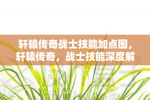 轩辕传奇战士技能加点图图片