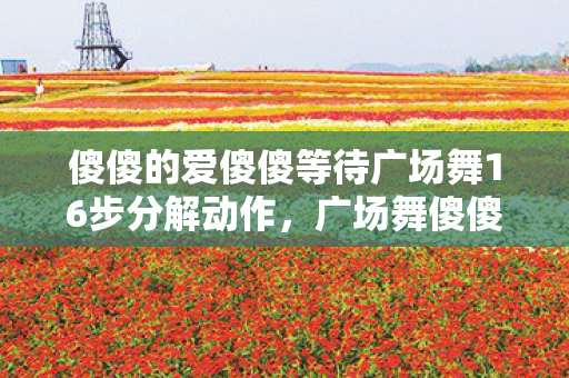 傻傻的爱傻傻等待广场舞16步分解动作图片