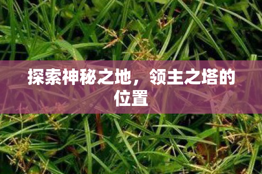 探索神秘之地,领主之塔的位置 探索神秘之地,领主之塔的位置