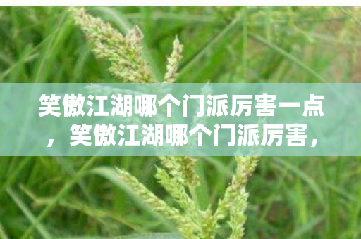 笑傲江湖哪个门派厉害一点,笑傲江湖哪个门派厉害,华山派与日月神教的较量 笑傲江湖哪个门派厉害一点,笑傲江湖哪个门派厉害,华山派与日月神教的较量