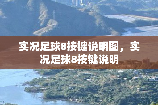 实况足球8按键说明图图片