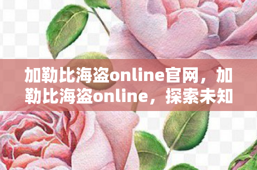 加勒比海盗online官网图片