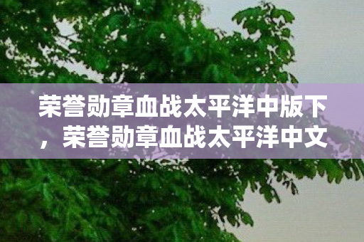 荣誉勋章血战太平洋中版下，荣誉勋章血战太平洋中文版，重温经典战役，感受历史震撼