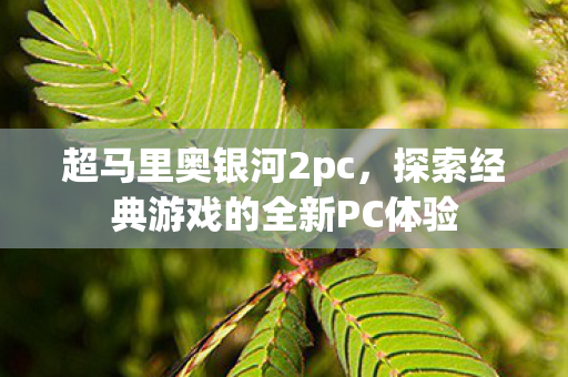 探索经典游戏的全新PC体验图片