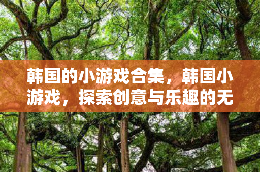 韩国的小游戏合集,韩国小游戏,探索创意与乐趣的无限可能 韩国的小游戏合集,韩国小游戏,探索创意与乐趣的无限可能