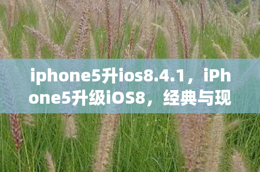iphone5升ios8.4.1,iPhone5升级iOS8,经典与现代的碰撞 iphone5升ios8.4.1,iPhone5升级iOS8,经典与现代的碰撞