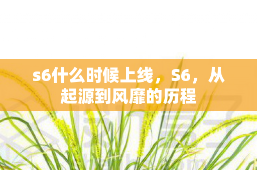 从起源到风靡的历程图片