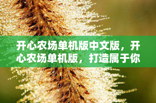 开心农场单机版中文版，开心农场单机版，打造属于你的私人农场