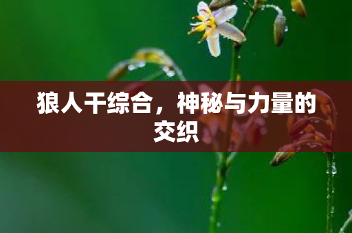 狼人干综合,神秘与力量的交织 狼人干综合,神秘与力量的交织