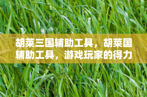 胡莱三国辅助工具,胡莱国辅助工具,游戏玩家的得力助手 胡莱三国辅助工具,胡莱国辅助工具,游戏玩家的得力助手