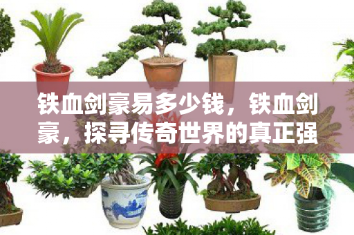 铁血剑豪易多少钱,铁血剑豪,探寻传奇世界的真正强者 铁血剑豪易多少钱,铁血剑豪,探寻传奇世界的真正强者