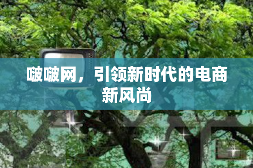 啵啵网，引领新时代的电商新风尚
