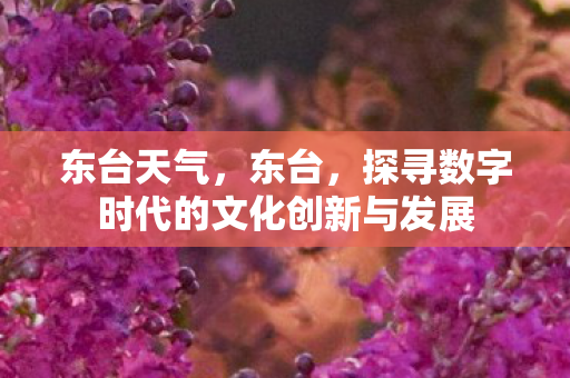 东台天气,东台,探寻数字时代的文化创新与发展 东台天气,东台,探寻数字时代的文化创新与发展
