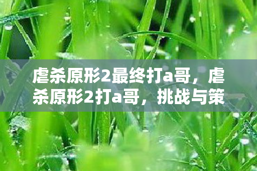 虐杀原形2最终打a哥,虐杀原形2打a哥,挑战与策略的深度剖析 虐杀原形2最终打a哥,虐杀原形2打a哥,挑战与策略的深度剖析