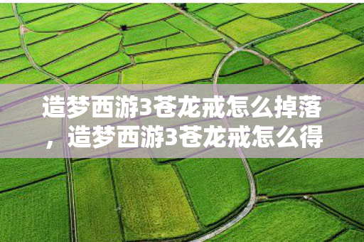 造梦西游3苍龙戒怎么掉落,造梦西游3苍龙戒怎么得 造梦西游3苍龙戒怎么掉落,造梦西游3苍龙戒怎么得