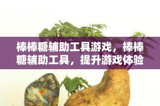 棒棒糖辅助工具游戏,棒棒糖辅助工具,提升游戏体验的得力助手 棒棒糖辅助工具游戏,棒棒糖辅助工具,提升游戏体验的得力助手