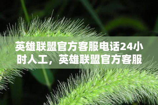 英雄联盟官方客服电话24小时人工,英雄联盟官方客服,专业、高效、贴心的服务体验 英雄联盟官方客服电话24小时人工,英雄联盟官方客服,专业、高效、贴心的服务体验
