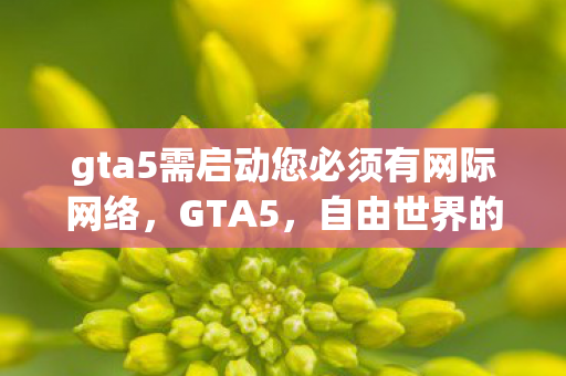 gta5需启动您必须有网际网络,GTA5,自由世界的无限可能 gta5需启动您必须有网际网络,GTA5,自由世界的无限可能