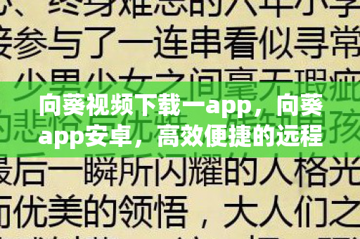向葵视频下载一app，向葵app安卓，高效便捷的远程操控工具