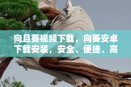 高效的安卓应用下载新体验图片