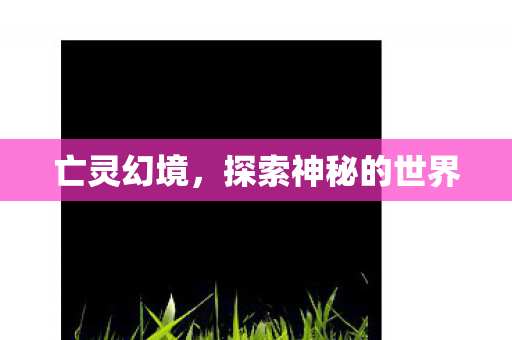 亡灵幻境,探索神秘的世界 亡灵幻境,探索神秘的世界