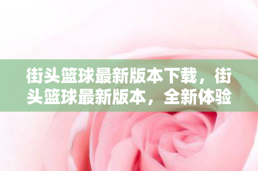 街头篮球最新版本下载,街头篮球最新版本,全新体验,竞技升级 街头篮球最新版本下载,街头篮球最新版本,全新体验,竞技升级