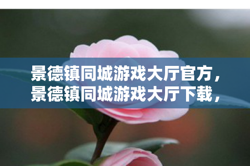 景德镇同城游戏大厅官方图片