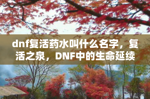 dnf复活药水叫什么名字图片