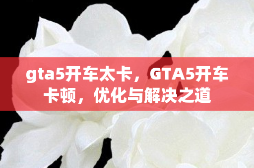gta5开车太卡图片