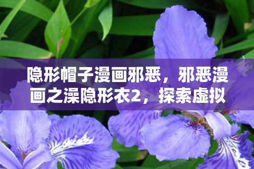 隐形帽子漫画邪恶，邪恶漫画之澡隐形衣2，探索虚拟世界的奇妙之旅