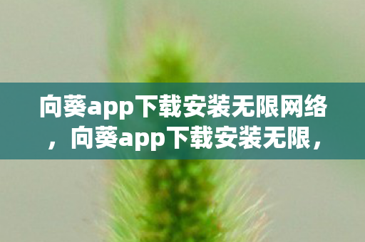 向葵app下载安装无限网络图片