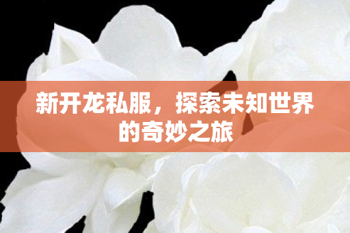 新开龙私服，探索未知世界的奇妙之旅