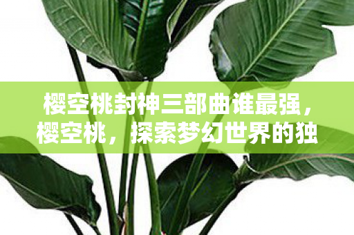 樱空桃封神三部曲谁最强图片