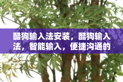 便捷沟通的新选择图片