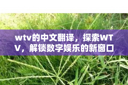 wtv的中文翻译，探索WTV，解锁数字娱乐的新窗口