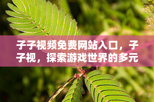 子子视频免费网站入口，子子视，探索游戏世界的多元体验与官方服务的独特魅力