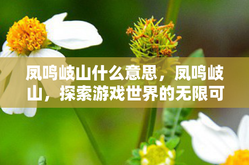 凤鸣岐山什么意思,凤鸣岐山,探索游戏世界的无限可能 凤鸣岐山什么意思,凤鸣岐山,探索游戏世界的无限可能