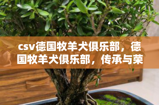 csv德国牧羊犬俱乐部,德国牧羊犬俱乐部,传承与荣耀的守护者 csv德国牧羊犬俱乐部,德国牧羊犬俱乐部,传承与荣耀的守护者