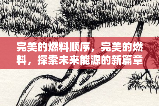 完美的燃料顺序,完美的燃料,探索未来能源的新篇章 完美的燃料顺序,完美的燃料,探索未来能源的新篇章