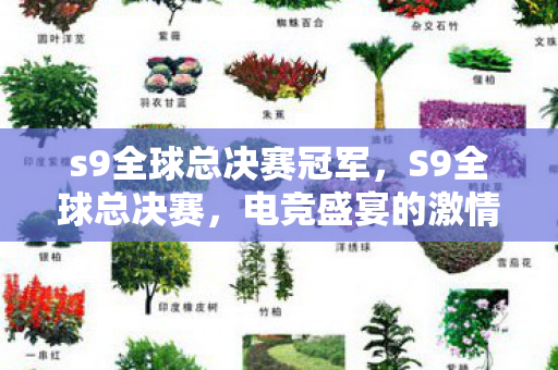 电竞盛宴的激情与荣耀图片