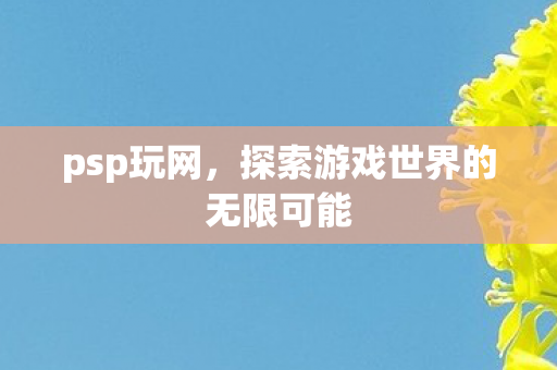 psp玩网,探索游戏世界的无限可能 psp玩网,探索游戏世界的无限可能