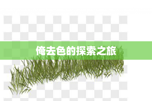 俺去色的探索之旅 俺去色的探索之旅