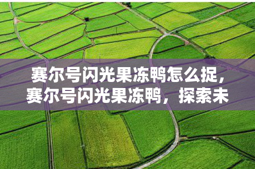 赛尔号闪光果冻鸭怎么捉,赛尔号闪光果冻鸭,探索未知,挑战极限 赛尔号闪光果冻鸭怎么捉,赛尔号闪光果冻鸭,探索未知,挑战极限