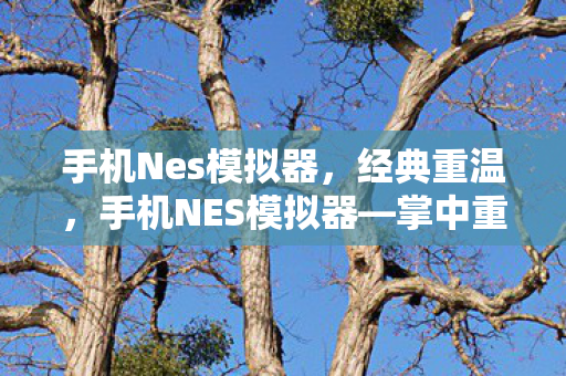 手机Nes模拟器，经典重温，手机NES模拟器—掌中重温童年经典游戏