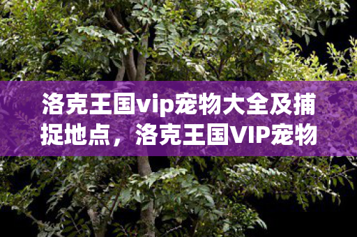 洛克王国vip宠物大全及捕捉地点,洛克王国VIP宠物,探索王国中的珍稀存在 洛克王国vip宠物大全及捕捉地点,洛克王国VIP宠物,探索王国中的珍稀存在