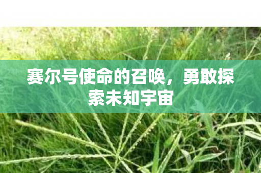 赛尔号使命的召唤,勇敢探索未知宇宙 赛尔号使命的召唤,勇敢探索未知宇宙