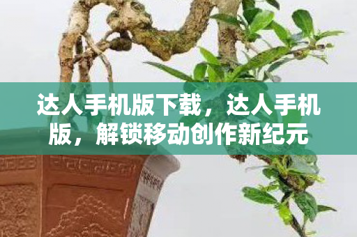 达人手机版下载,达人手机版,解锁移动创作新纪元 达人手机版下载,达人手机版,解锁移动创作新纪元